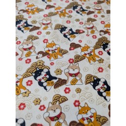 Coton foil chien japonnais