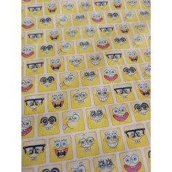 copy of Coton licence Harry...