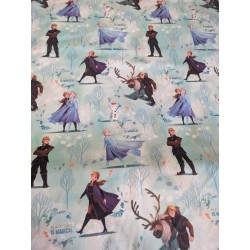 copy of Coton licence Harry...